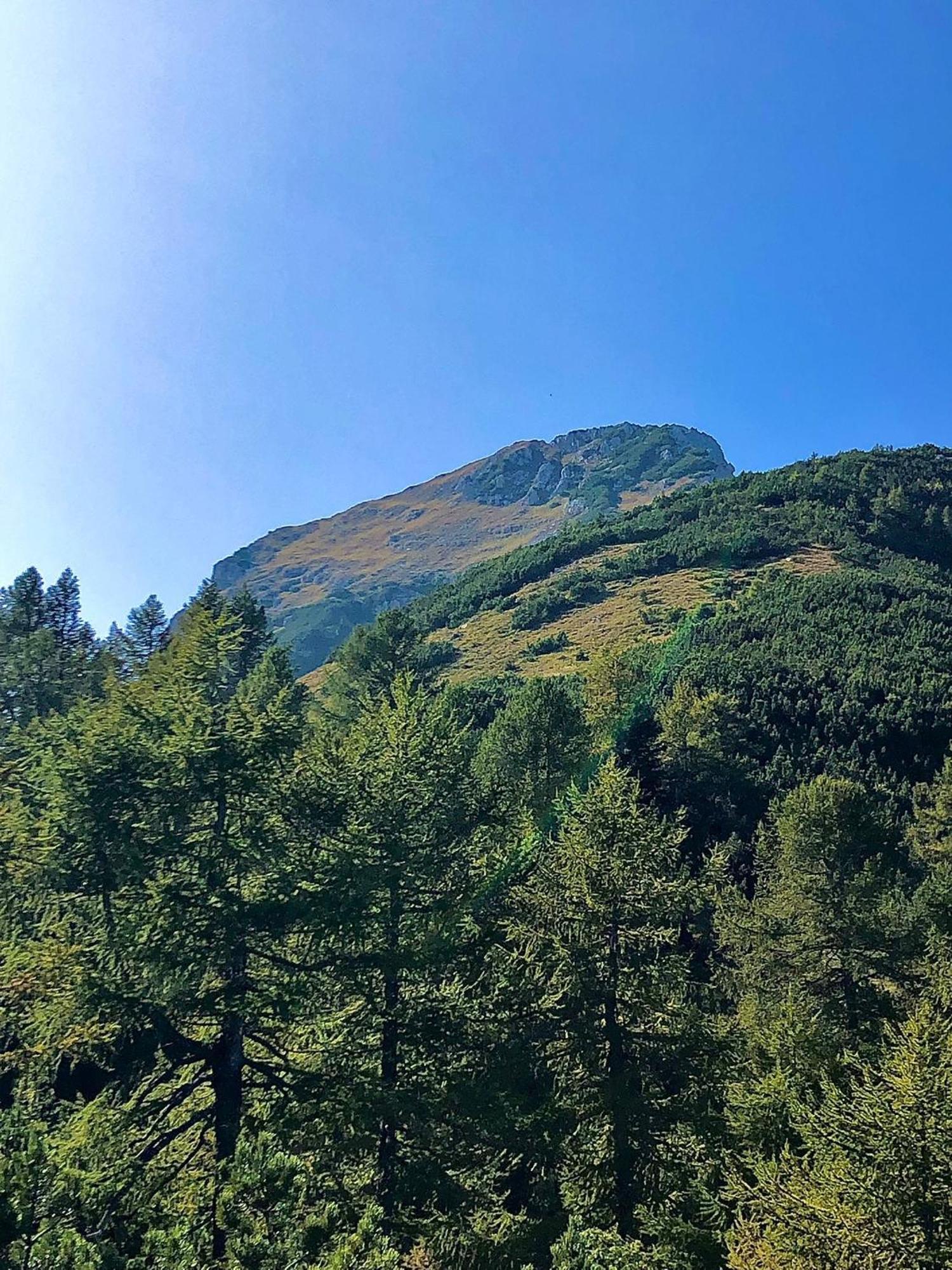 Brenta Luxury Chalet Sporminore Kültér fotó