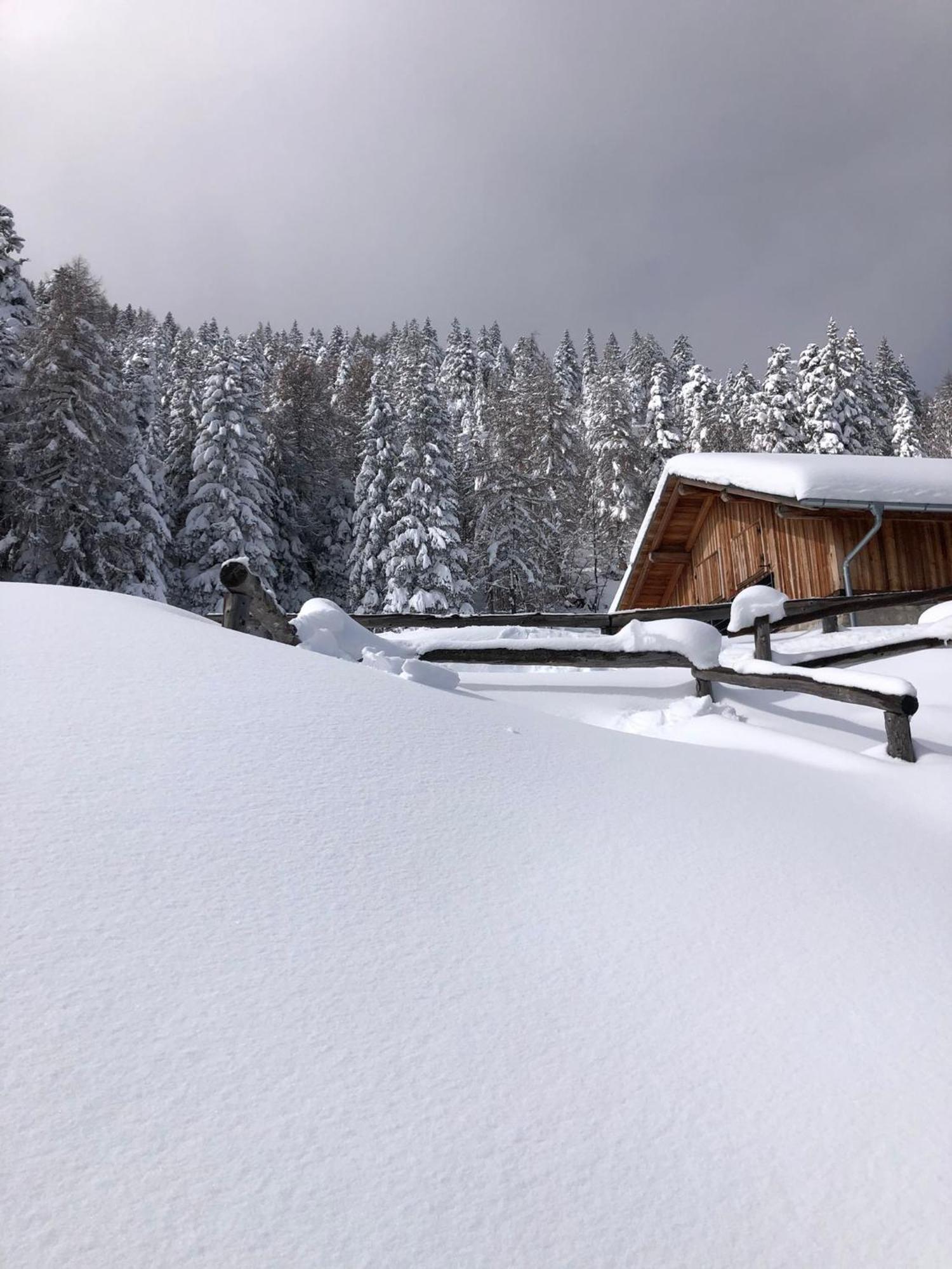 Brenta Luxury Chalet Sporminore Kültér fotó