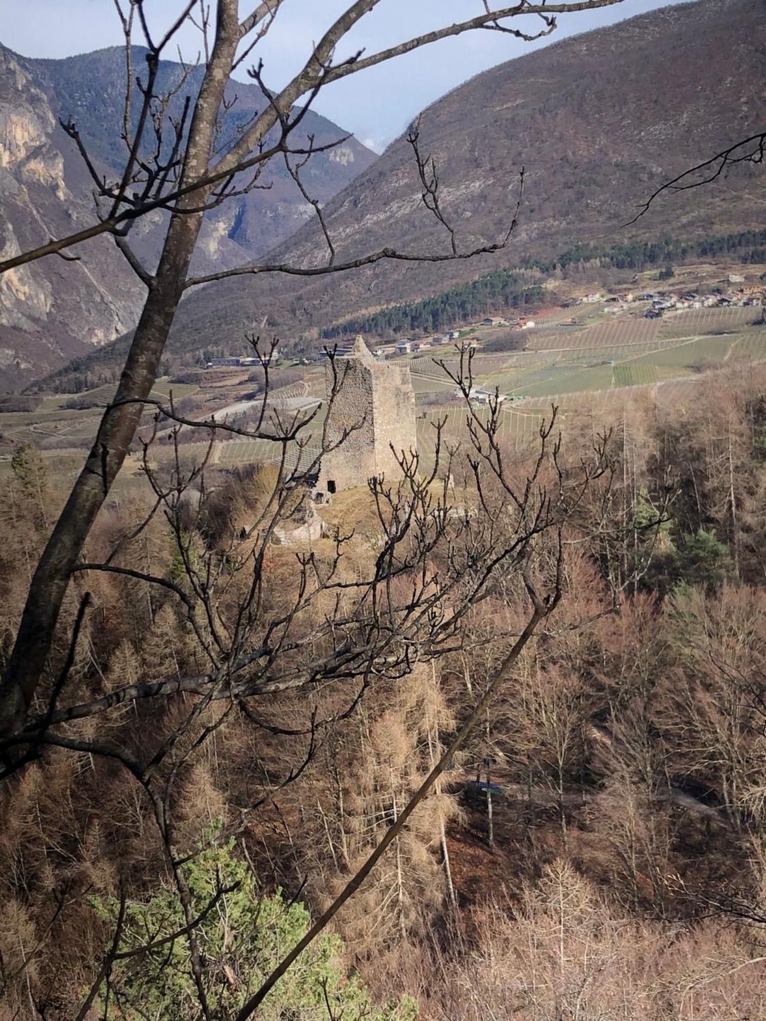 Brenta Luxury Chalet Sporminore Kültér fotó